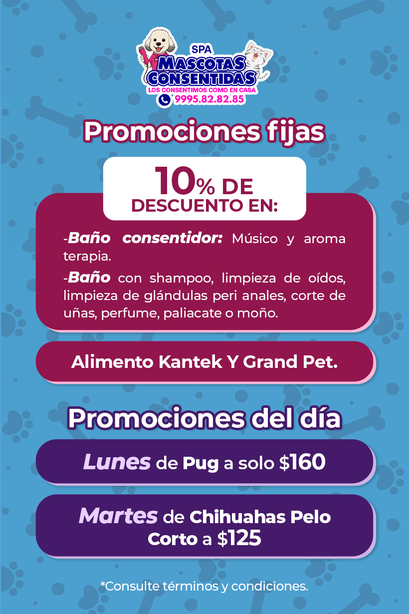 Promoción Los Trompos